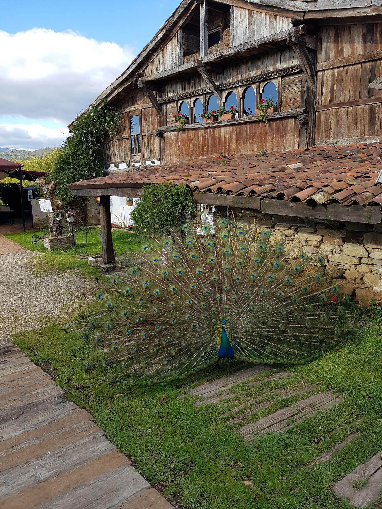 Aspaldiko, Restaurant in Loiu