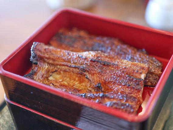 Sumiyaki Unagi Hajime, Hamamatsu, Japan