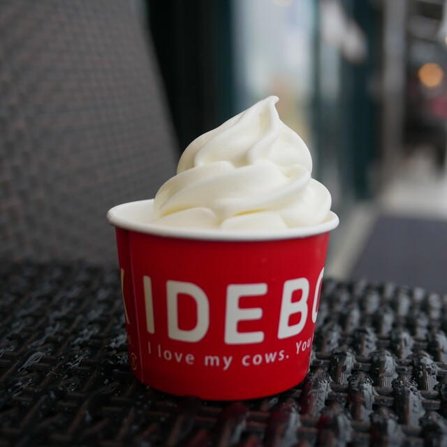 IDEBOK Ebina SA nobori ten, Ebina, Japan