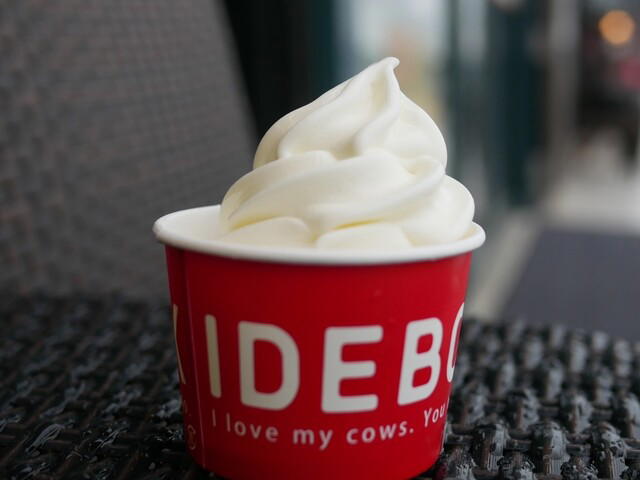 IDEBOK Ebina SA nobori ten, Ebina, Japan