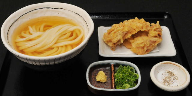 Sanuki Udon Byakuan, Osaka, Japan