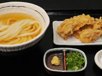 Sanuki Udon Byakuan, Osaka, Japan