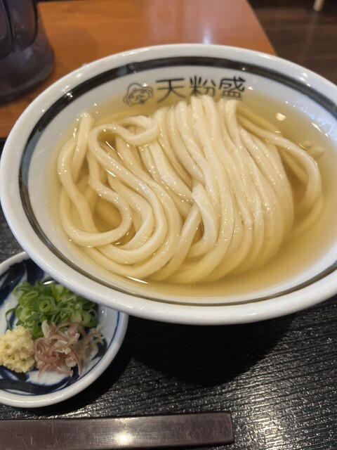Tezukuri Udon Tenkomori, Osaka, Japan