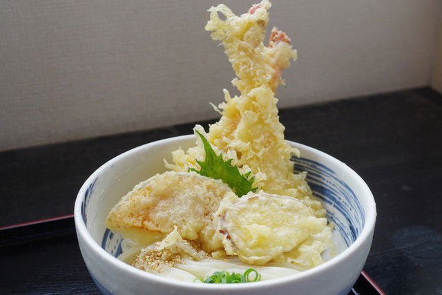 Honkaku Teuchi Udon Tomosaku, Restaurant in Kurashiki