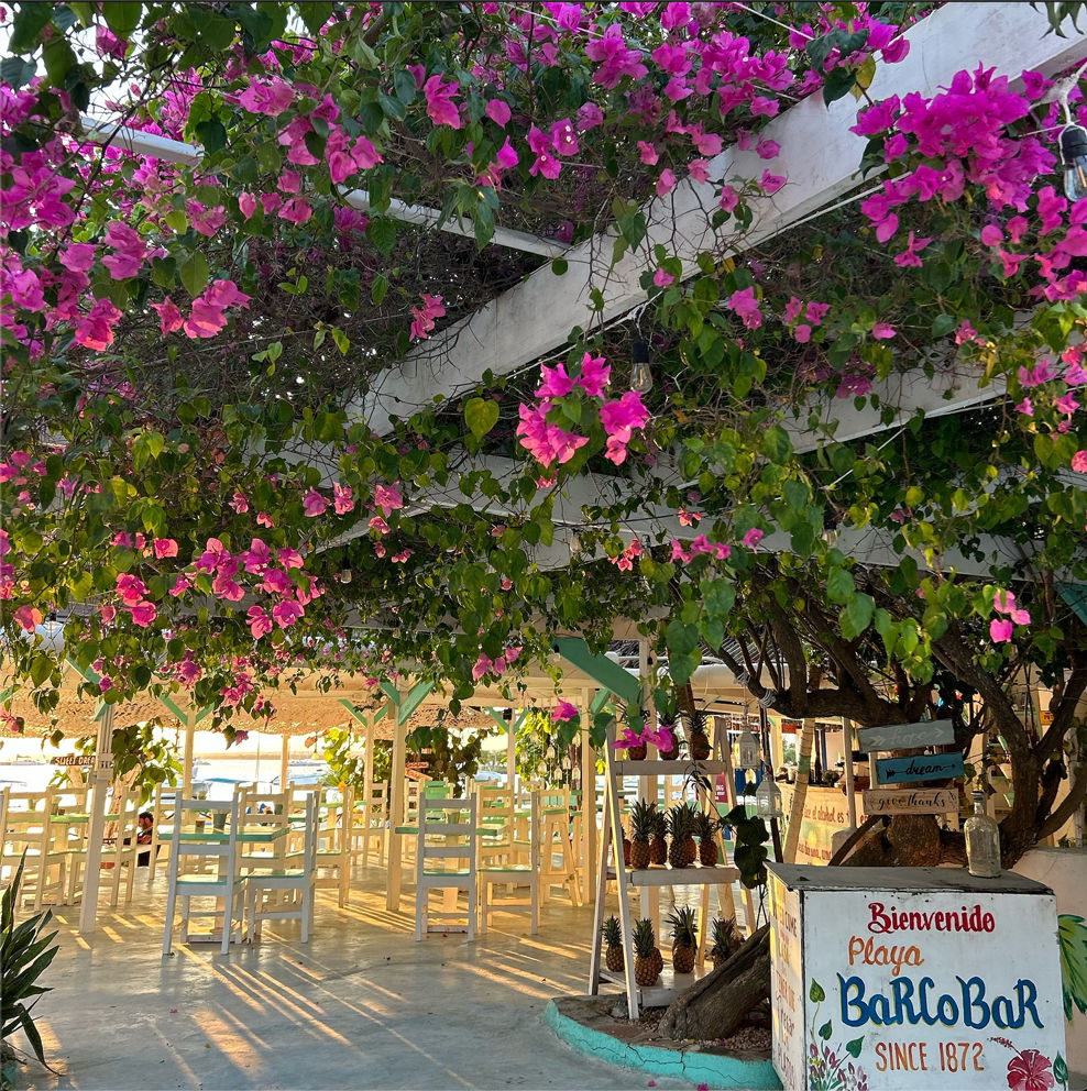 Playa Barcobar, Restaurant in Bayahibe
