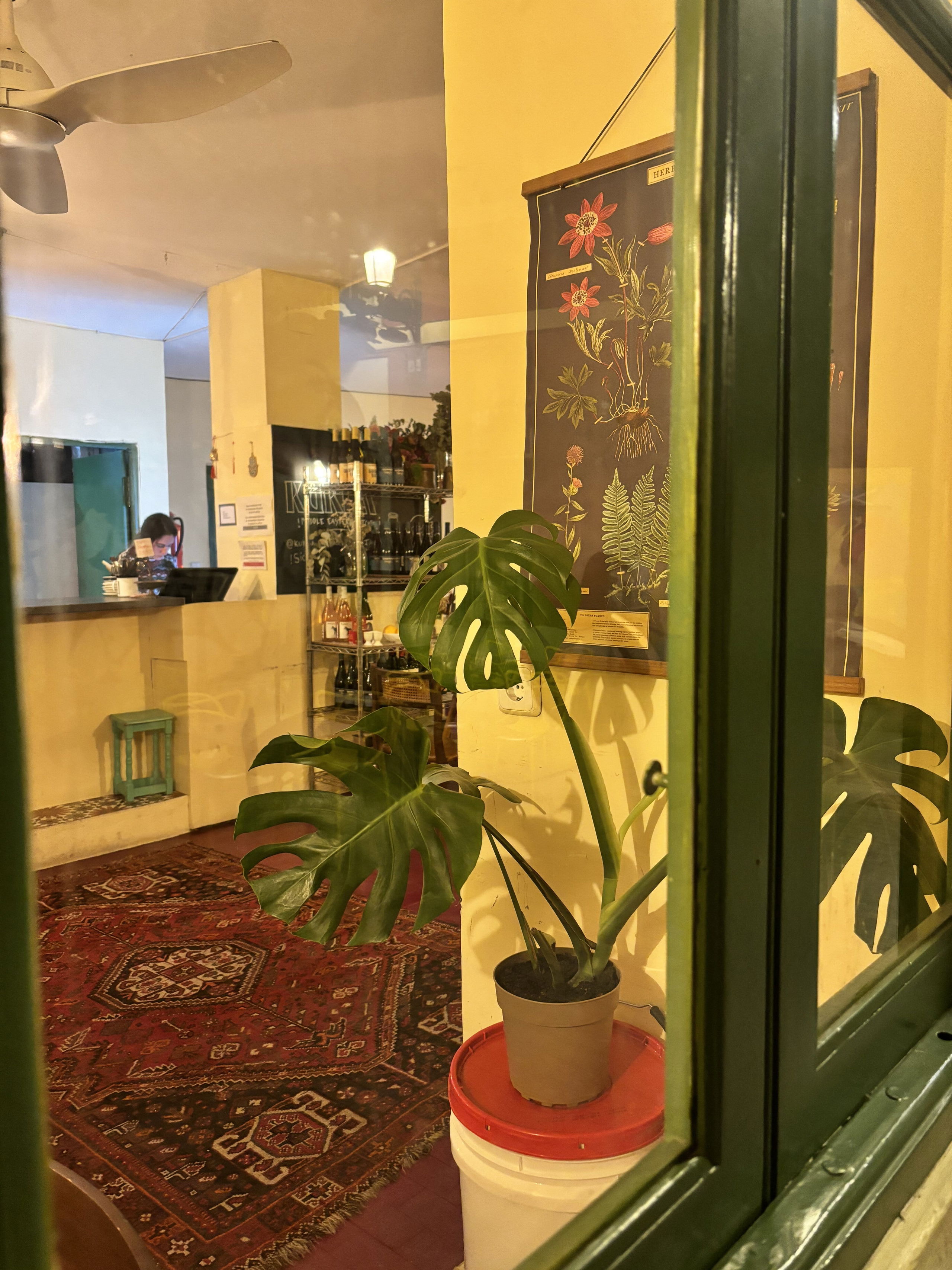 Kukla, Restaurant in València