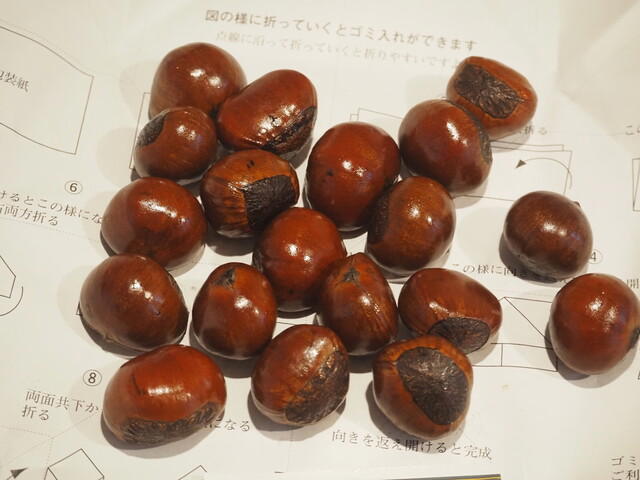 Amaguri no Shinise Hayashi Mansho Do Honten