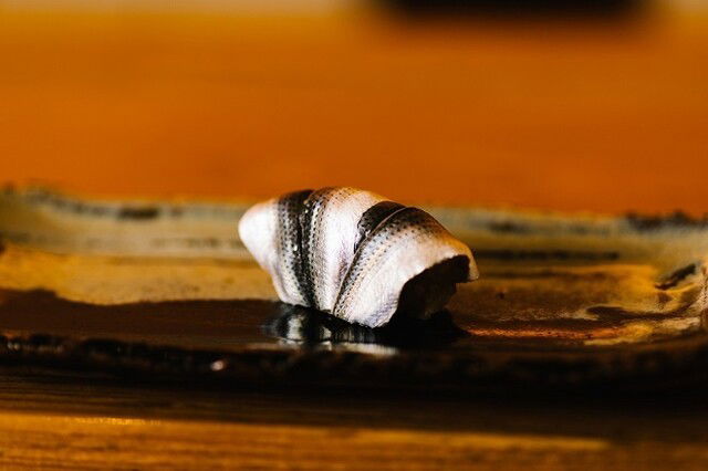 Sushi Dokoro Ishibashi, Restaurant in Fukuoka