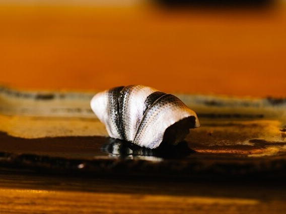 Sushi Dokoro Ishibashi, Fukuoka, Japan