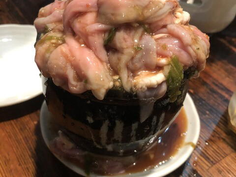 Horumon Ya Tsubotei, Utsunomiya, Japan