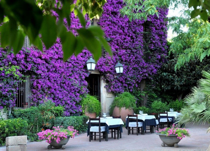 Can Travi Nou, Restaurant in Barcelona