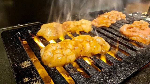 Yakiniku Futoro, Osaka, Japan