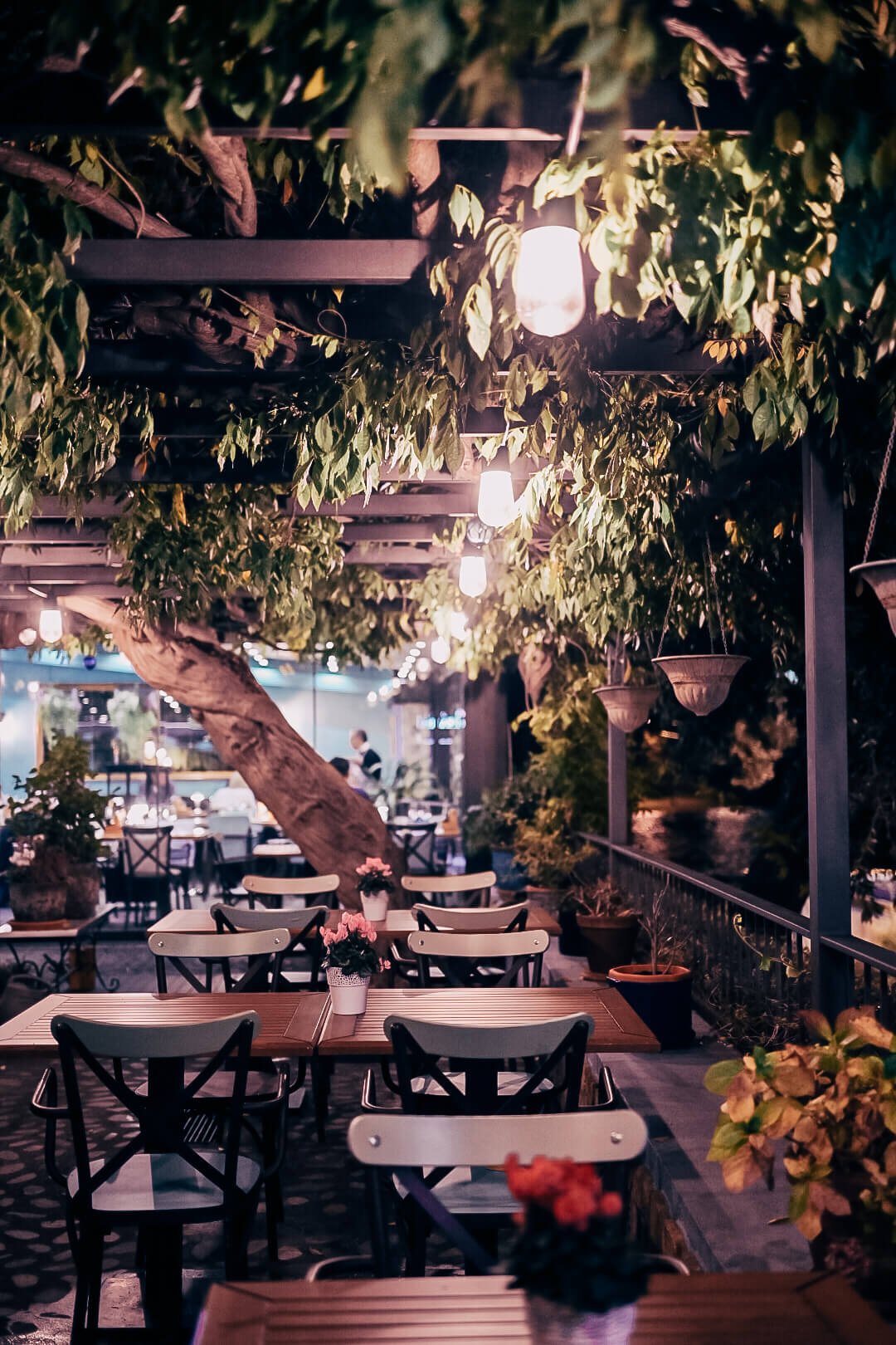 Ostaria Veranda, Restaurant in Opatija