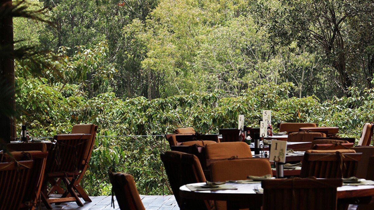 The River Café, Nairobi, Kenya