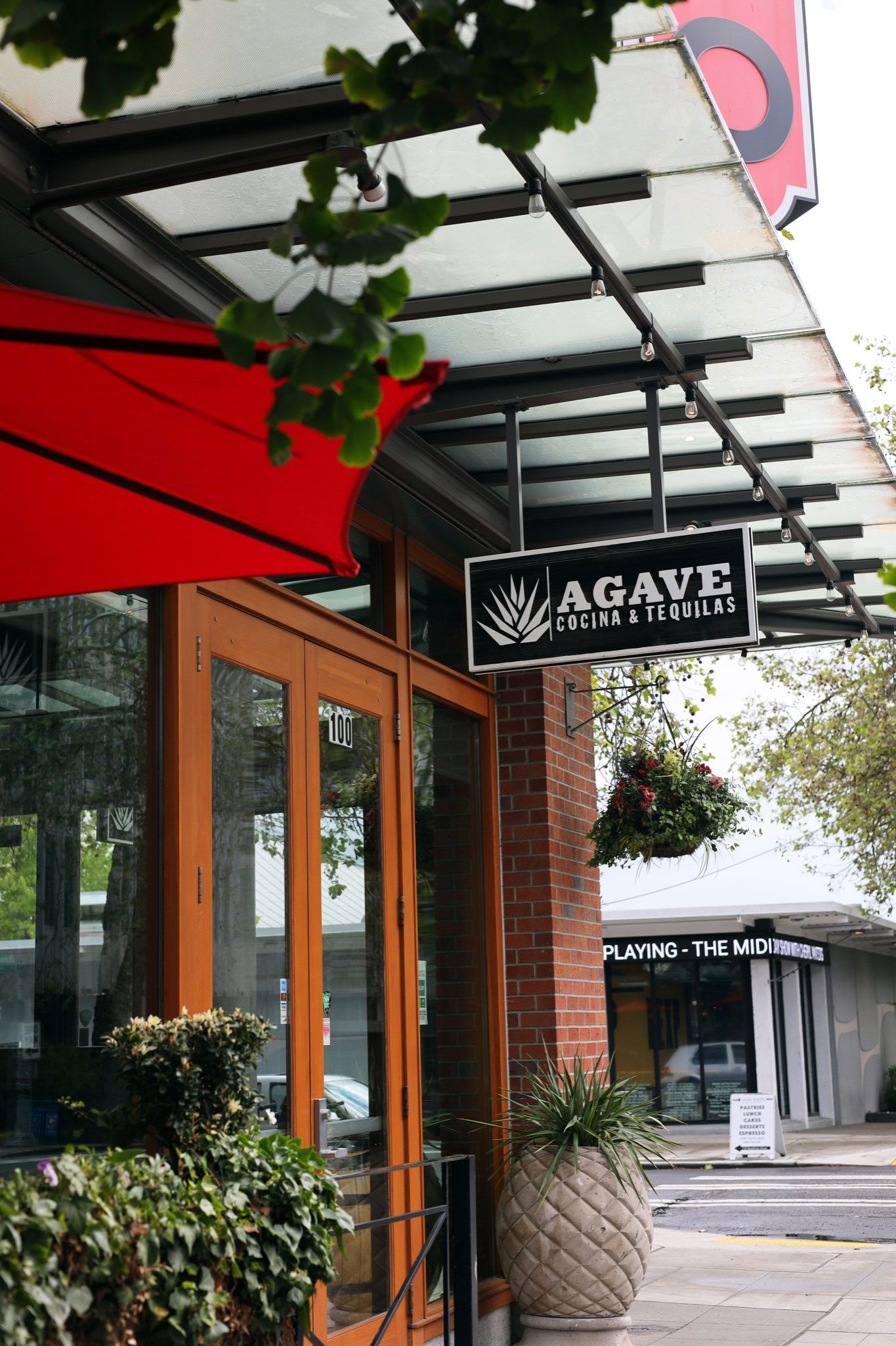 Agave Cocina & Tequila | Queen Anne, Restaurant in Seattle