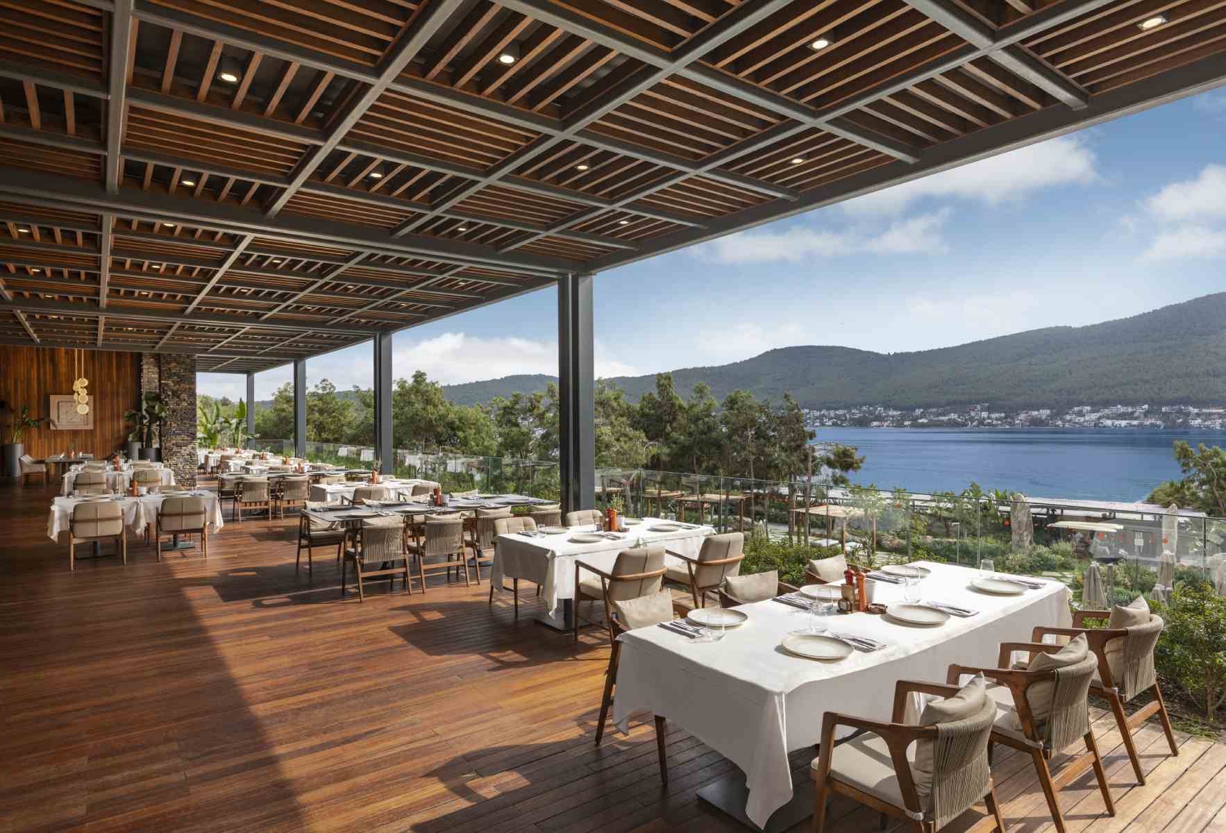Asma, Restaurant in Bodrum
