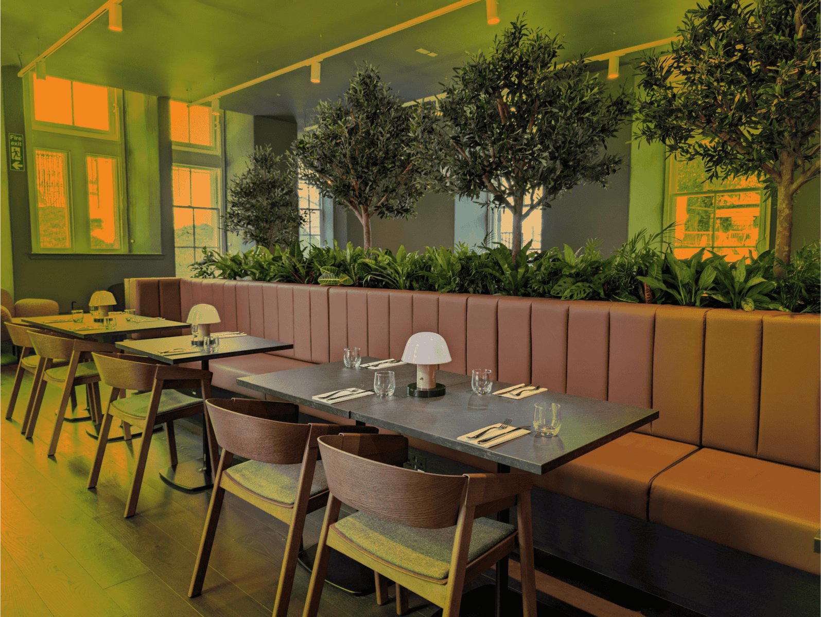 Canopy Kitchen & Courtyard restaurant in Edinburgh, United Kingdom