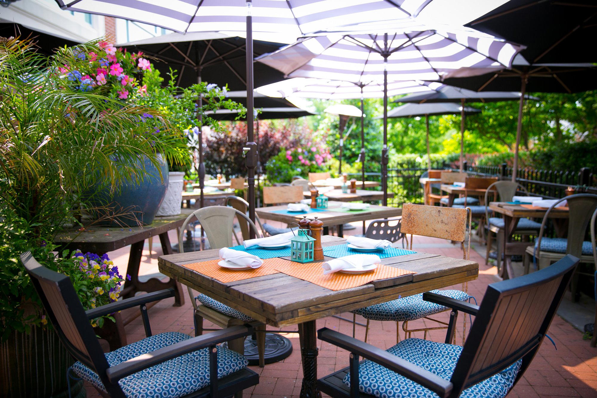White Dog Cafe Wayne restaurant in Wayne, United States