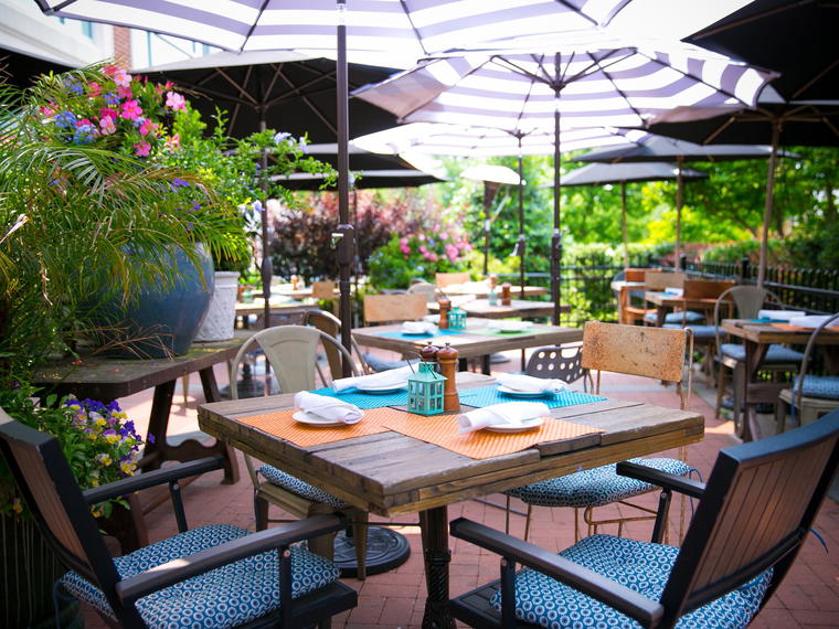 White Dog Cafe Wayne, Wayne, United States