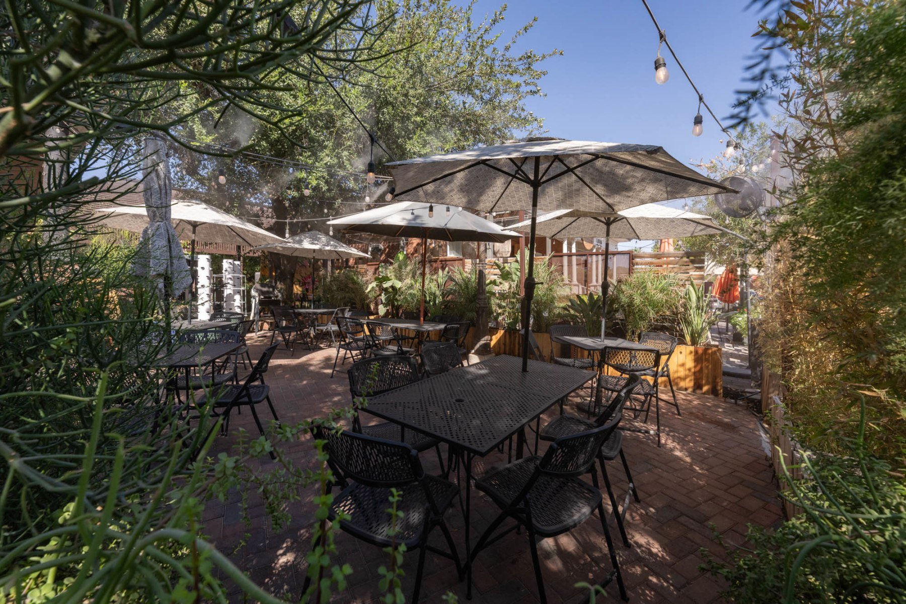 Que Sazon, Phoenix, United States
