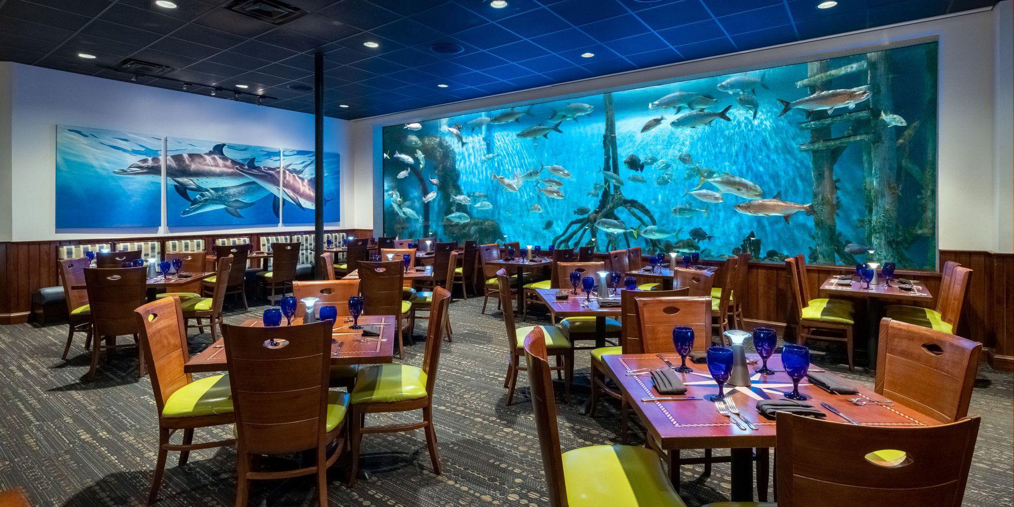 RumFish Grill, Restaurant in St Pete Beach