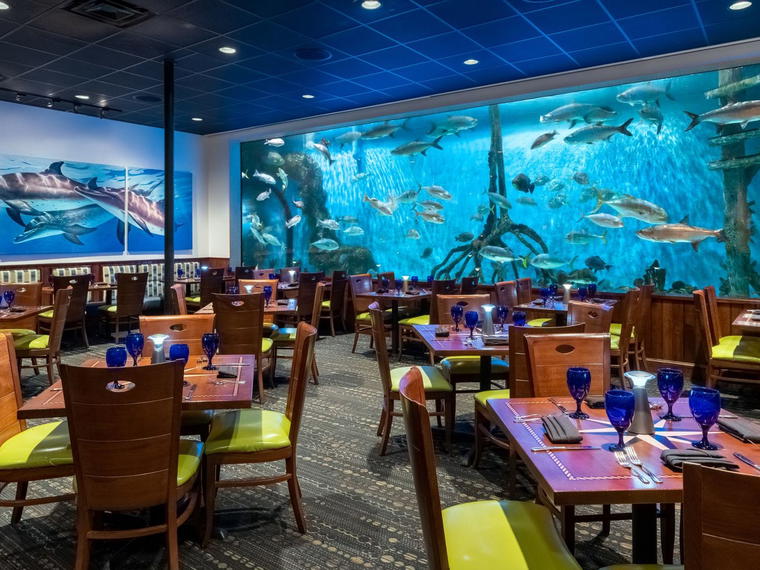 RumFish Grill, St Pete Beach, United States