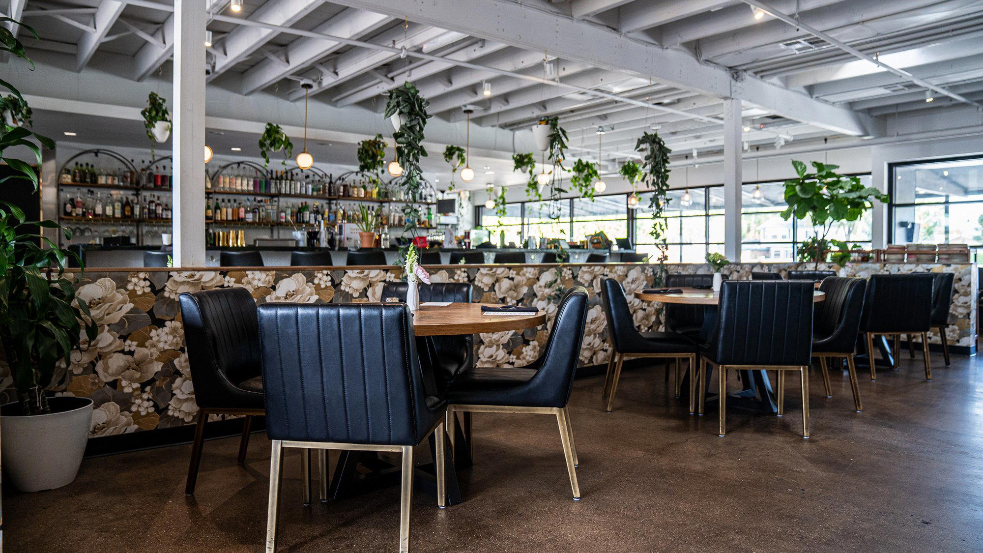 Santo Arcadia restaurant in Phoenix, United States