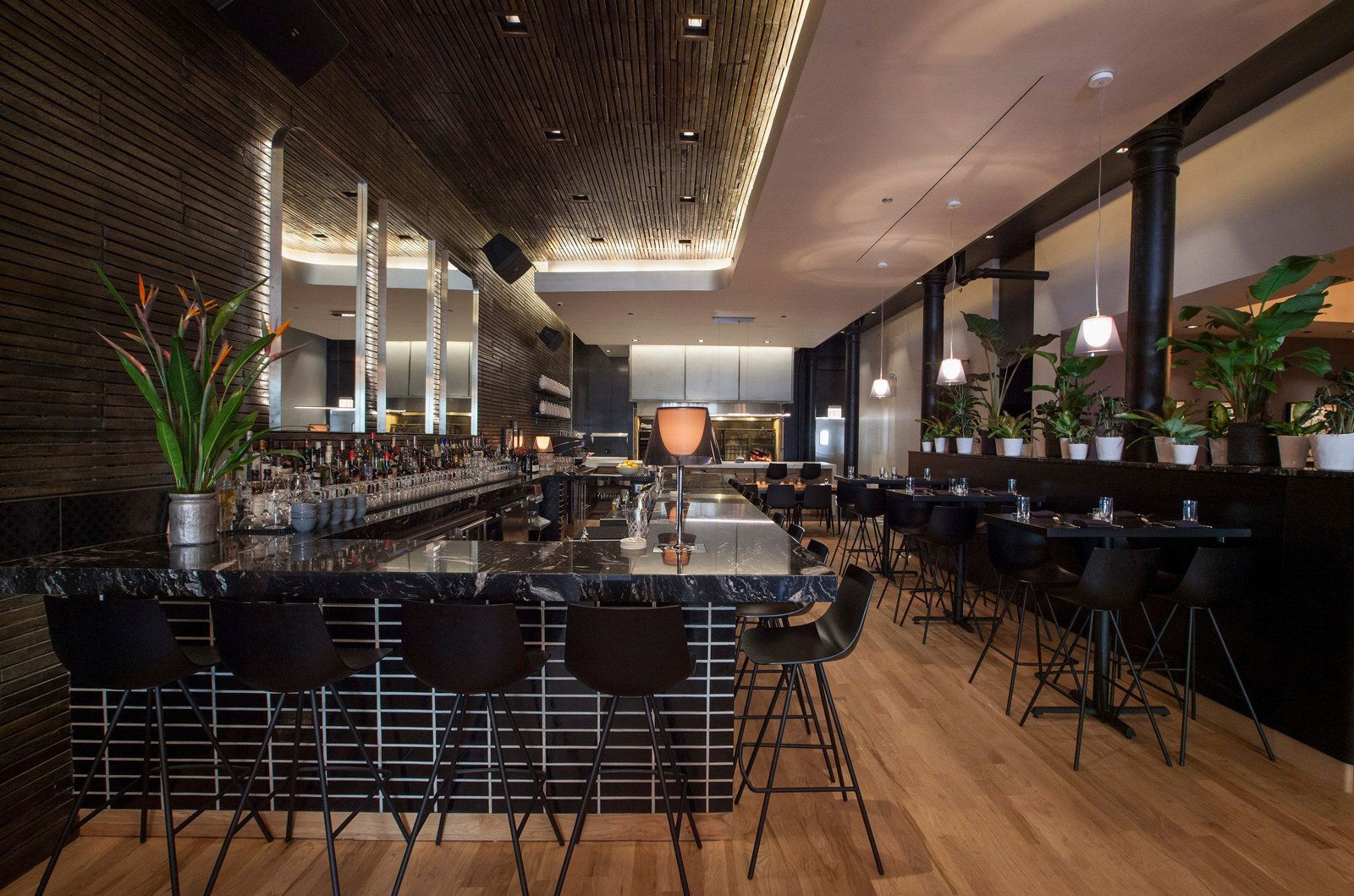 El Che Bar, Restaurant in Mexico City