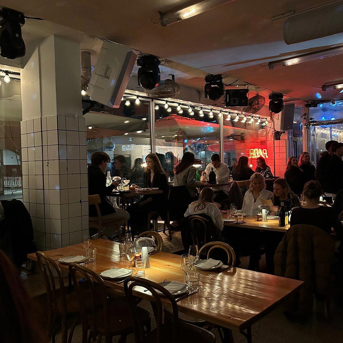 Gorilla, Copenhagen, Denmark