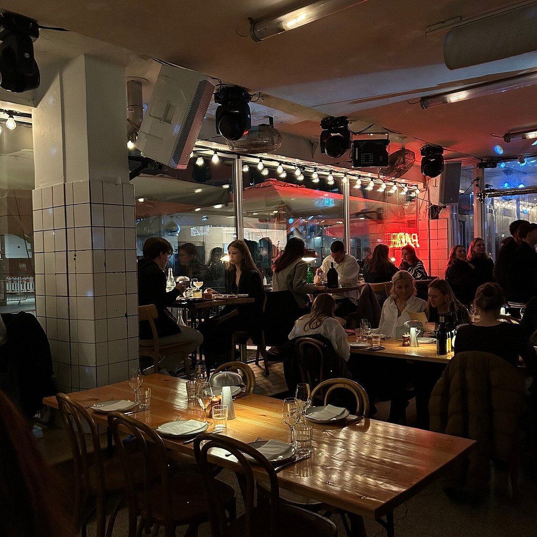 Gorilla, Copenhagen, Denmark