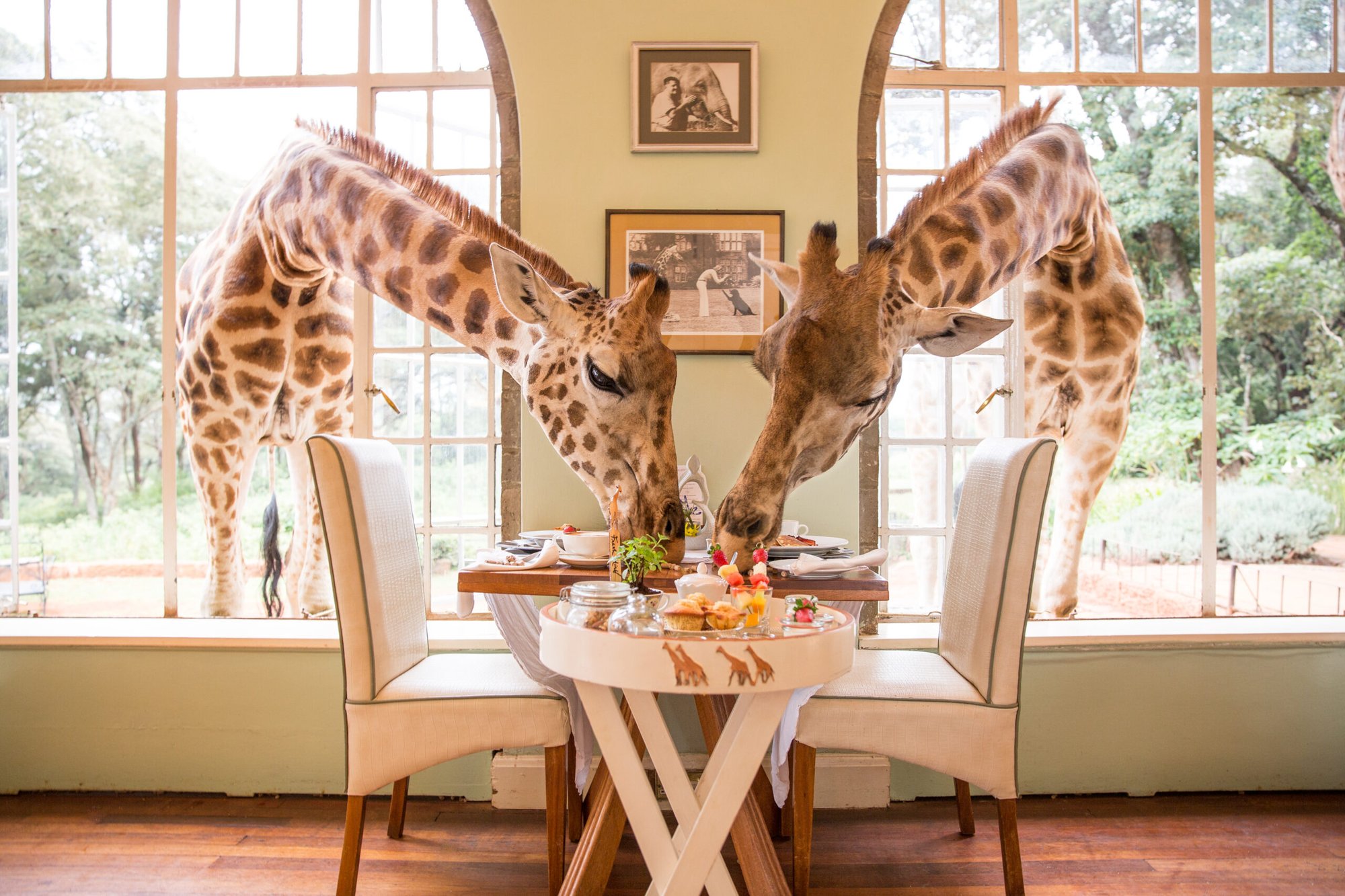 Giraffe Manor Lunch, Restaurant in Nairobi