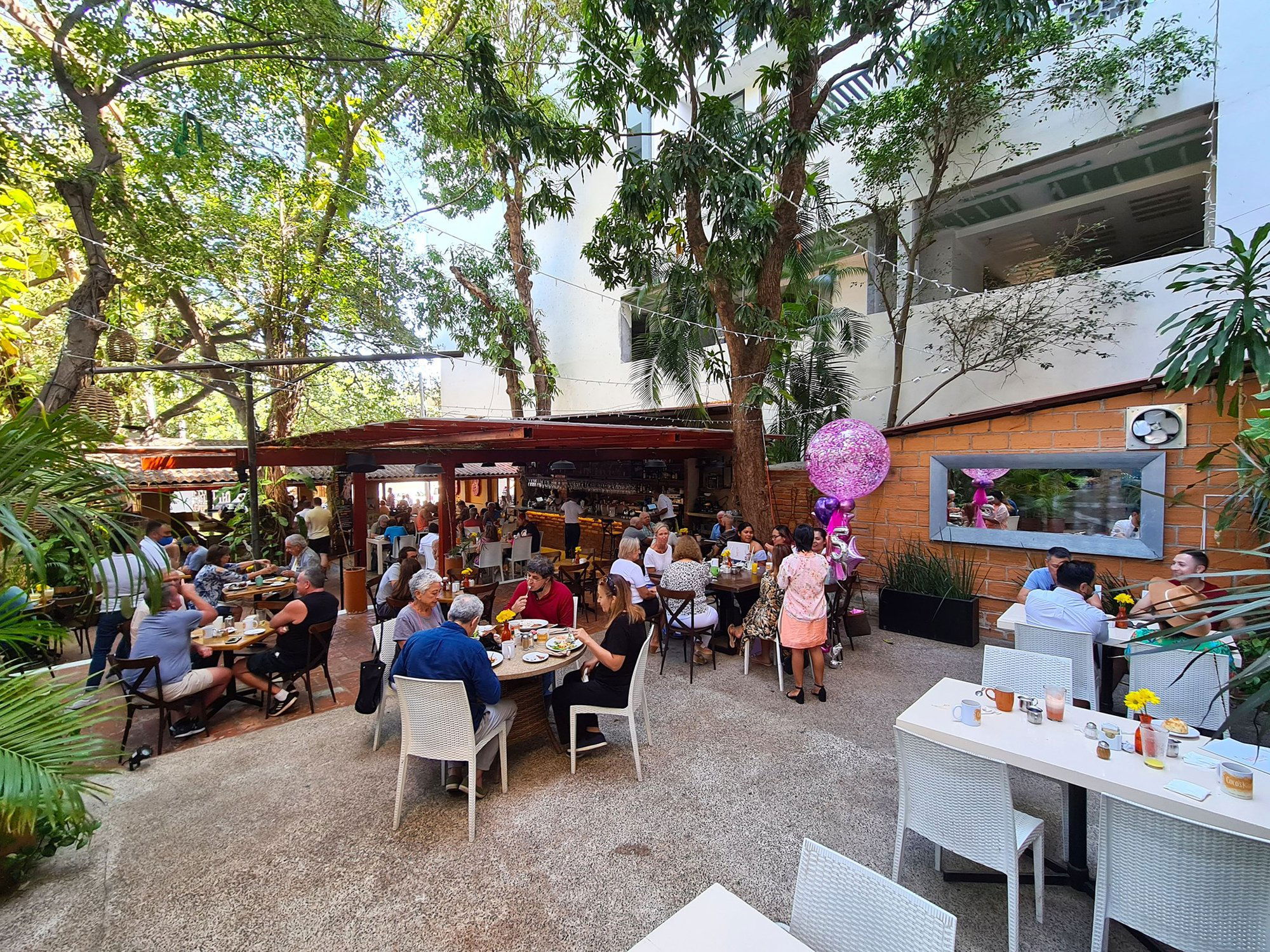 Cocos Kitchen, Restaurant in Puerto Vallarta
