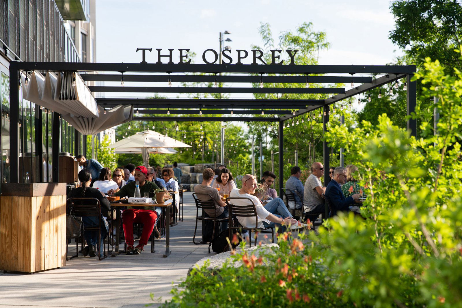 The Osprey, Restaurant in Orlando
