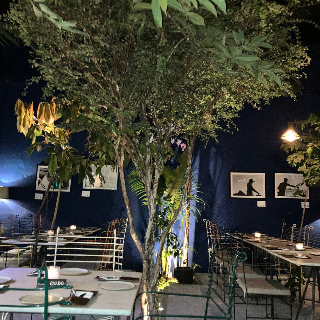 COLTIVI ☕️Café & 🍕Pizzaria, Restaurant in Rio de Janeiro