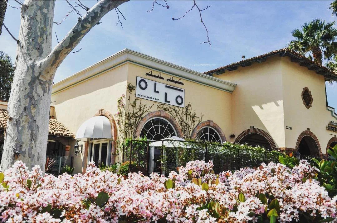 Ollo restaurant in Malibu, United States