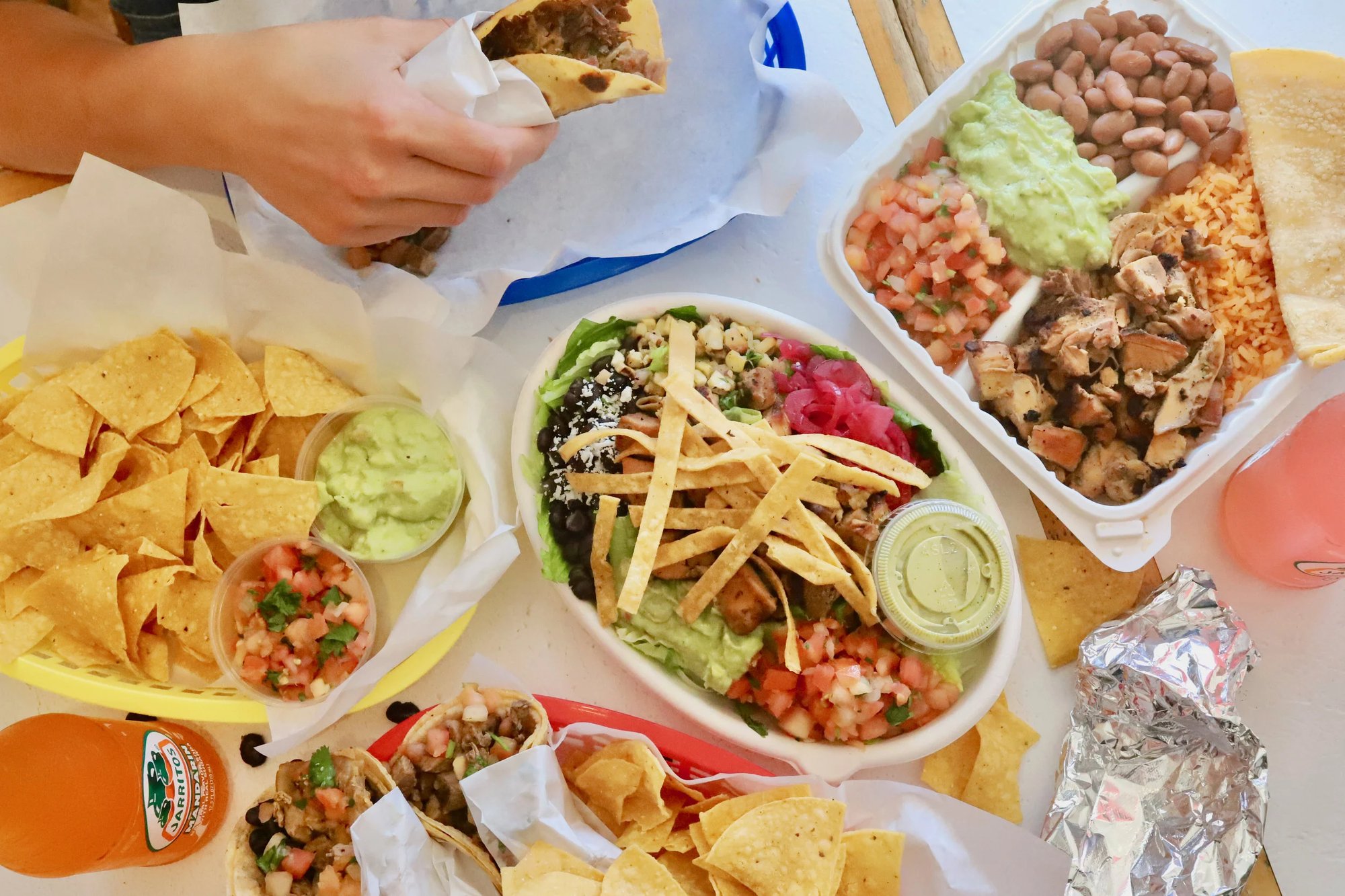 Gordo Taqueria, Albany, United States
