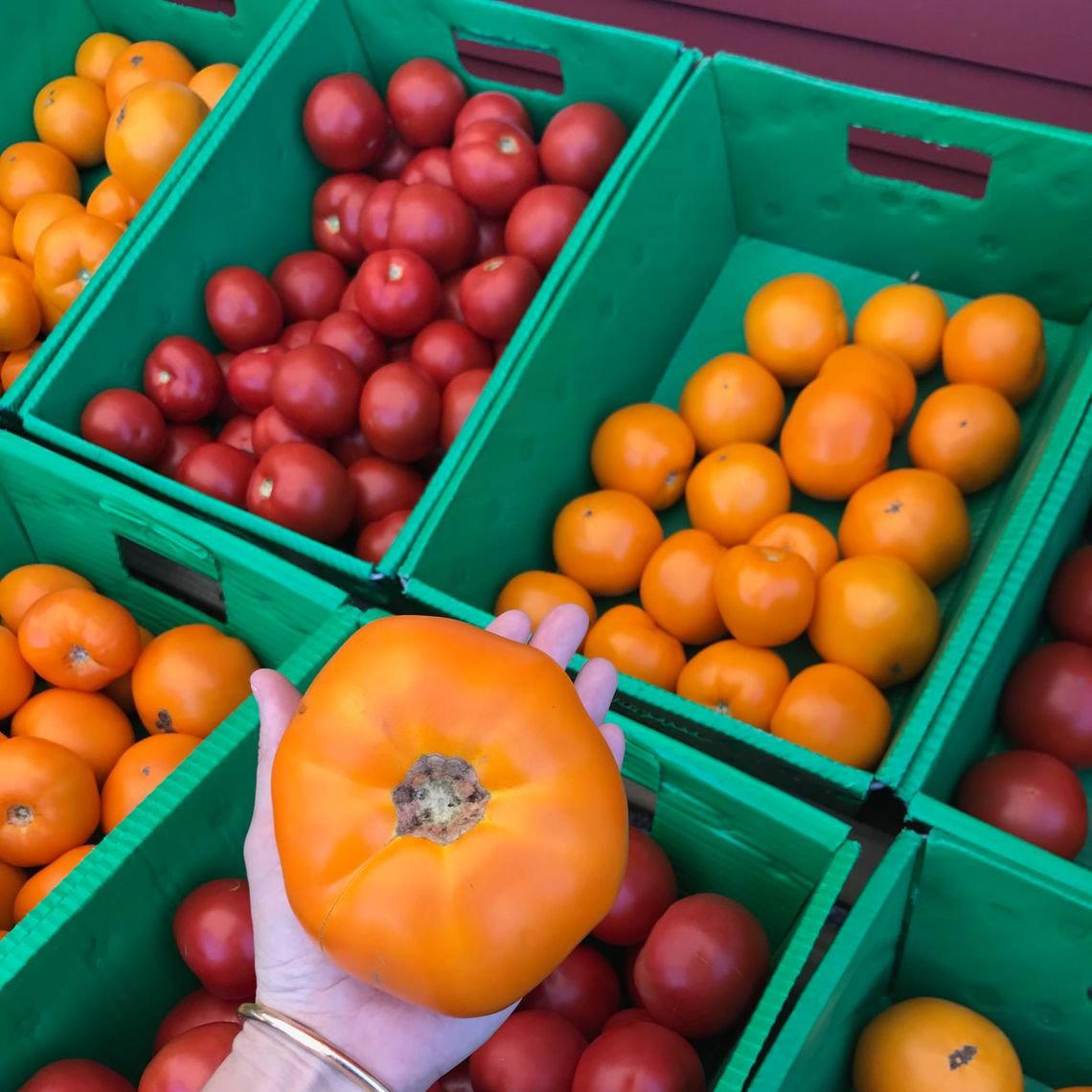 Hillside Farmstand restaurant in Truro, United States