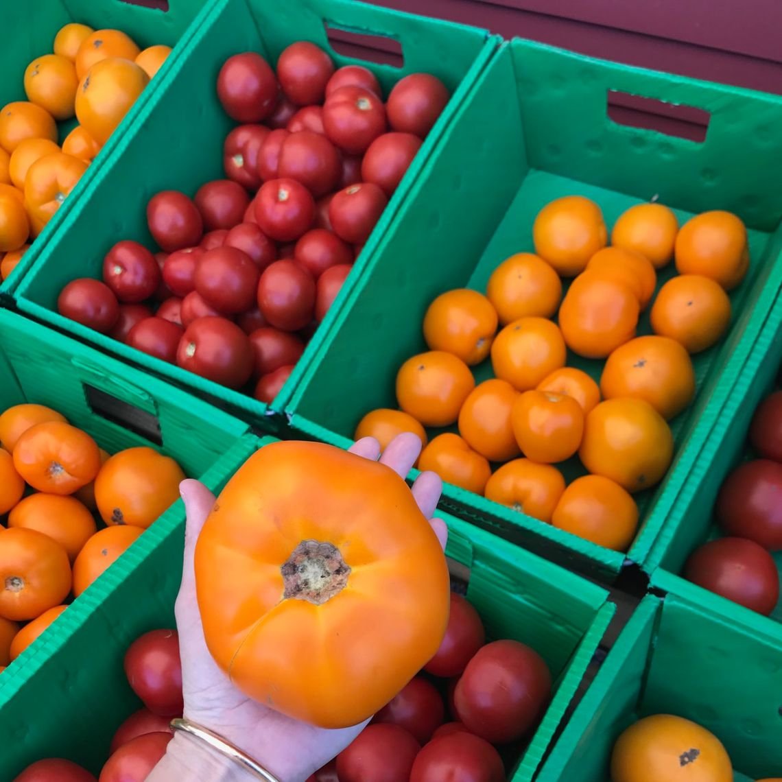 Hillside Farmstand, Truro, United States
