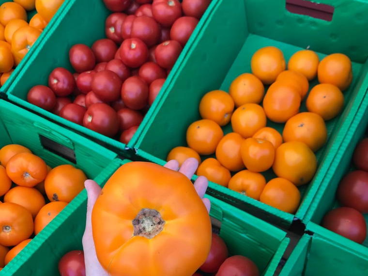 Hillside Farmstand, Truro, United States