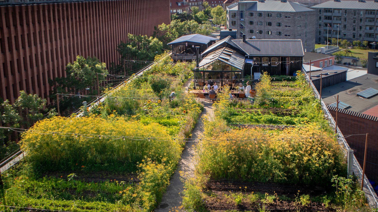Garden, Copenhagen, Denmark