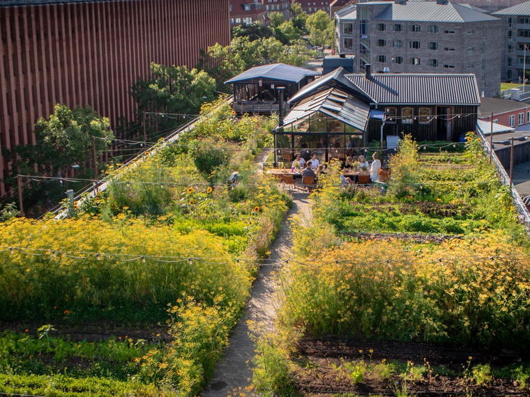 Garden Restaurant & Wine Bar, Copenhagen, Denmark