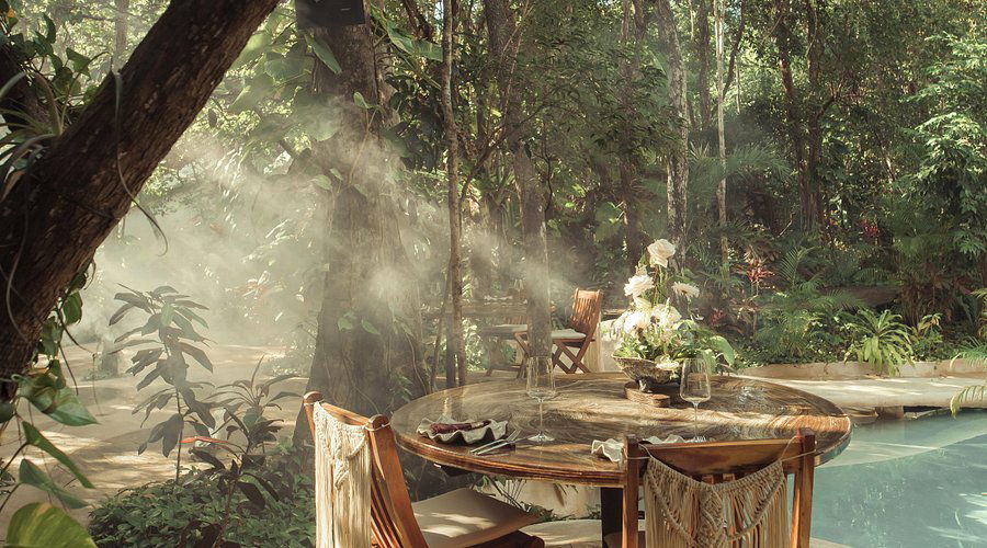 Jungle Cuisine, Restaurant in Tulum
