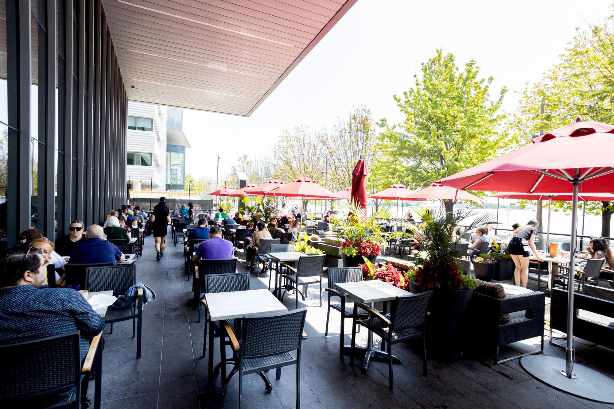 IRENE restaurant in Toronto, Canada