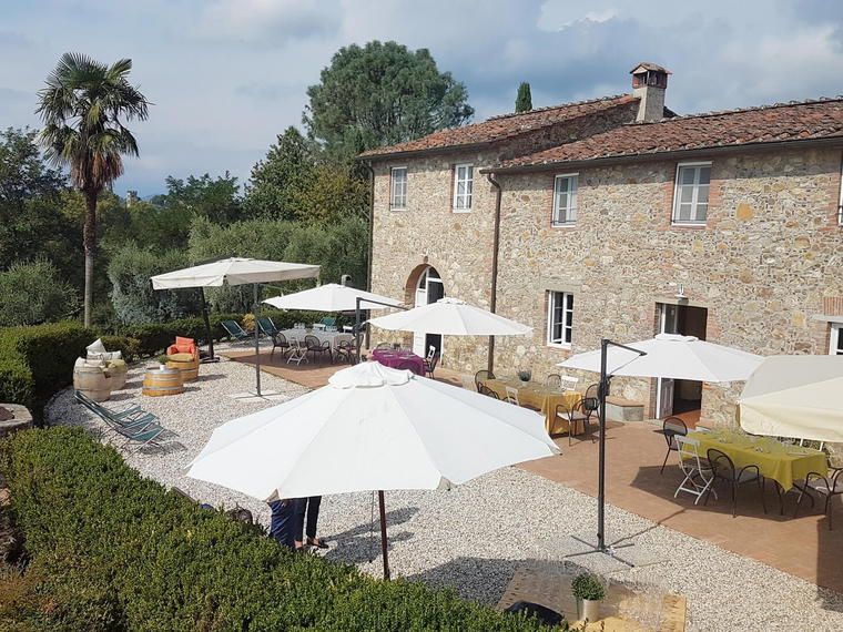 Azienda agricola Colle di Bordocheo, Capannori, Italy