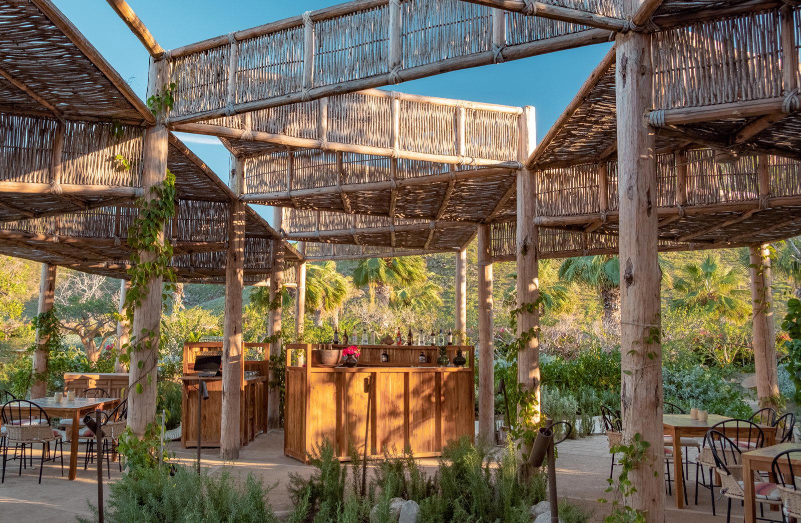 Cosecha restaurant in Todos Santos