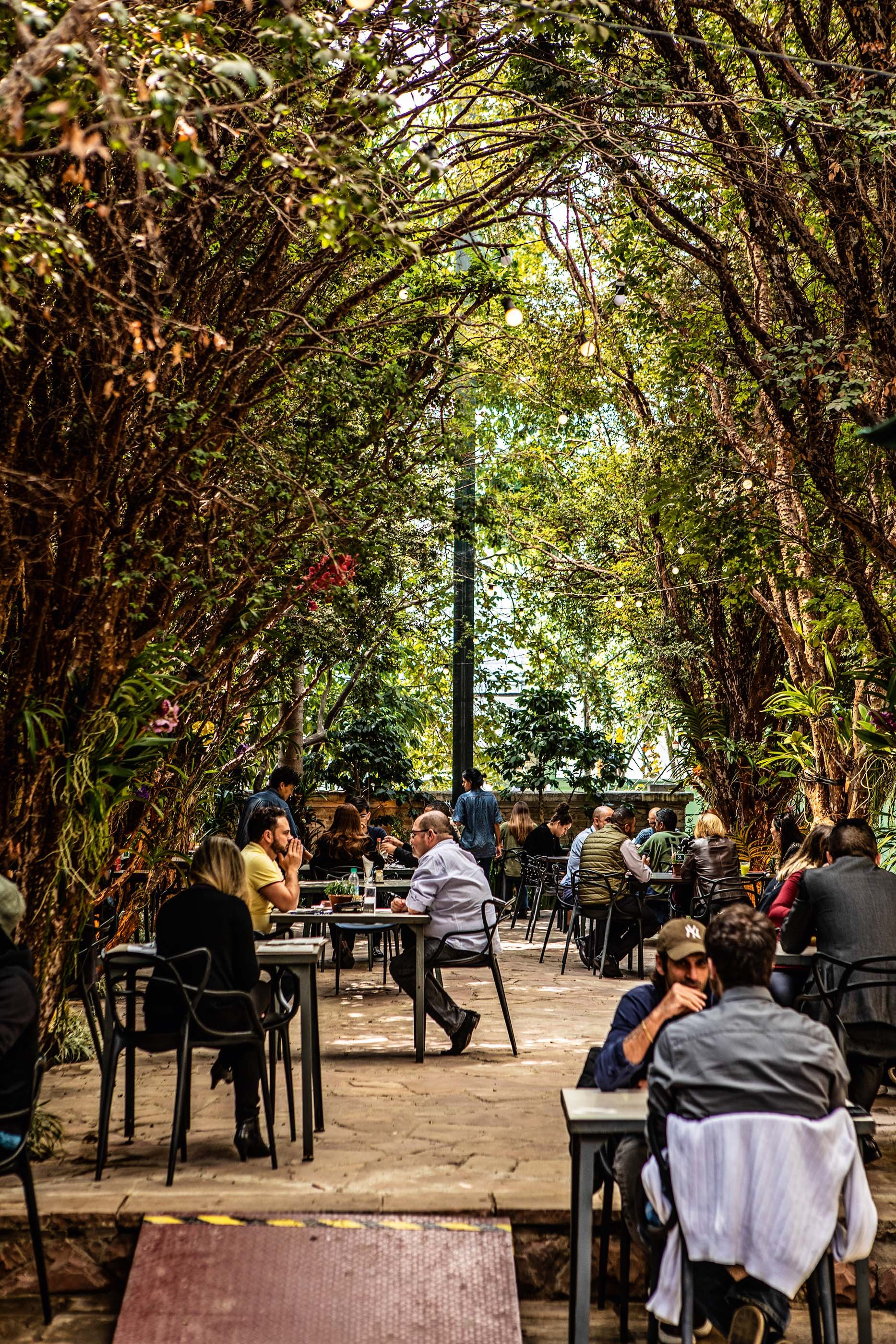 AMA.ZO Campos Elíseos, Restaurant in São Paulo