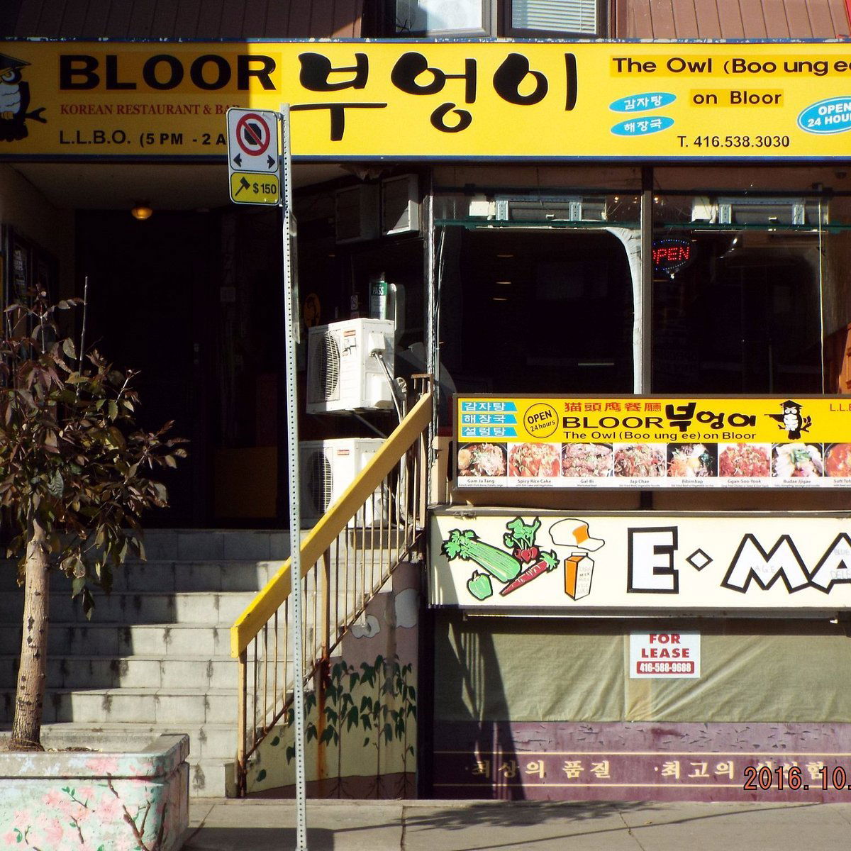 The Owl on Bloor, Restaurant in Toronto