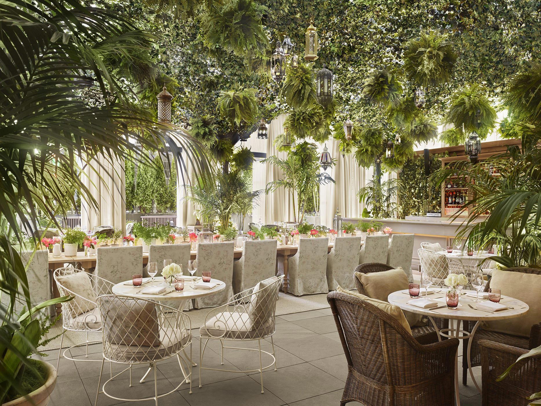 The Terrace and Outdoor Gardens