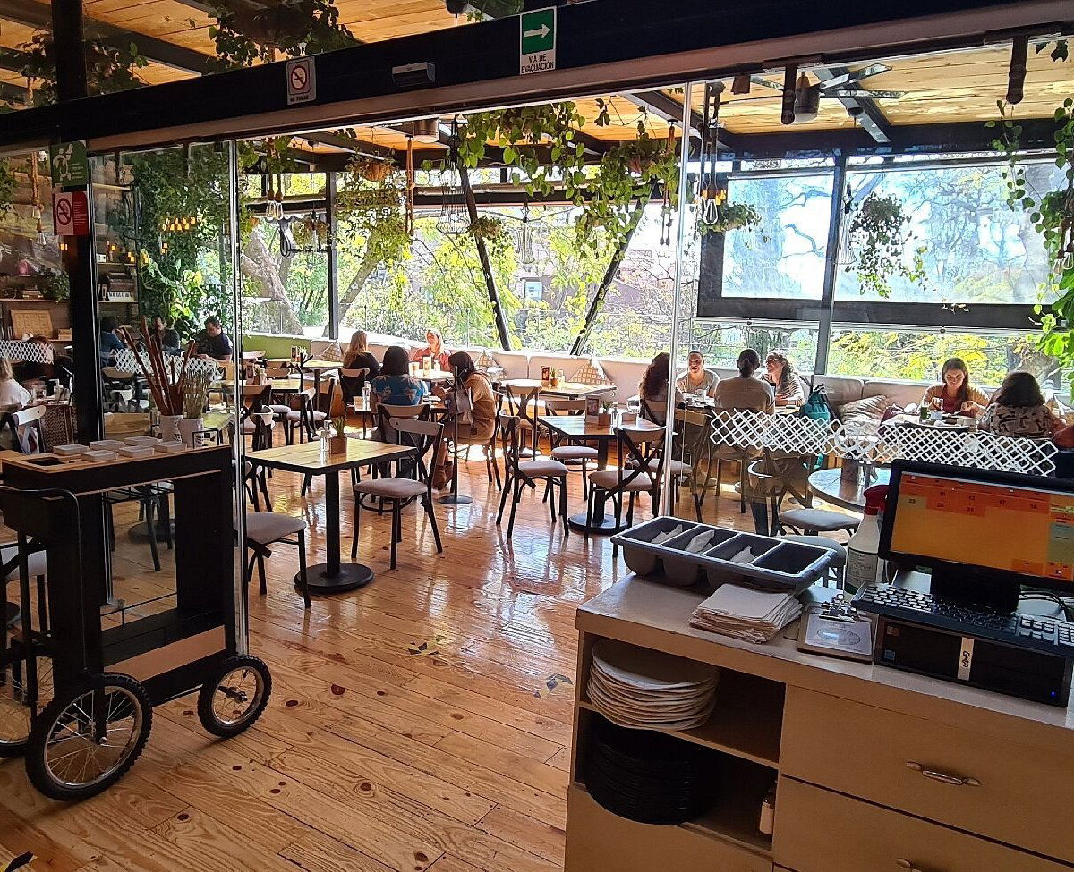 Apego, balcón del sur, Restaurant in Mexico City
