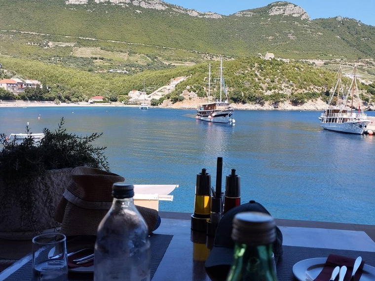 Vitaceae, Trstenik, Croatia